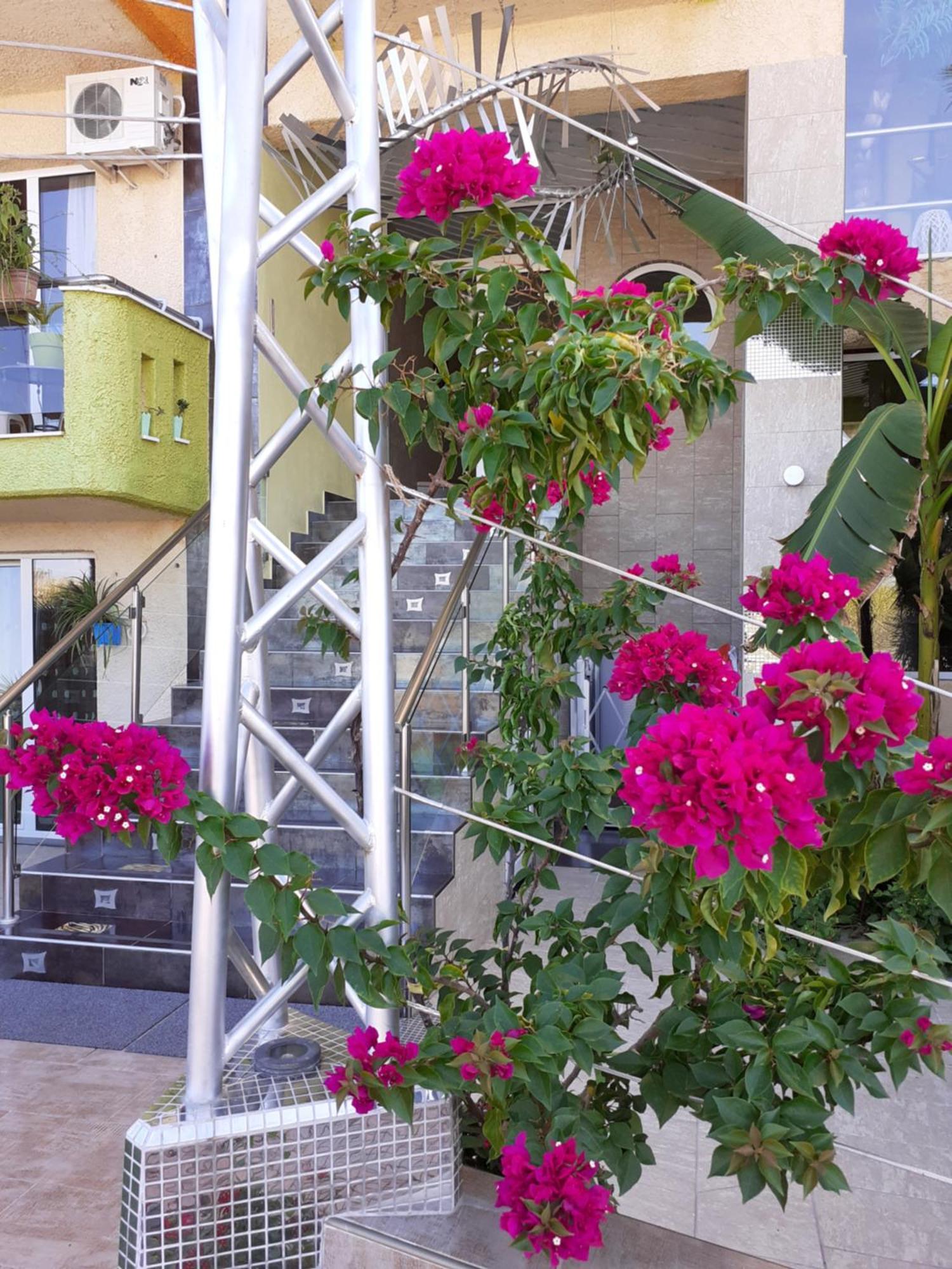 Lilalo Ηotel Paralia Katerinis Exterior photo